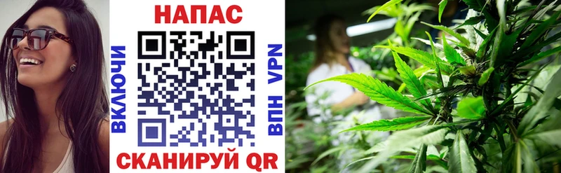 цены   Островной  Каннабис Bruce Banner 